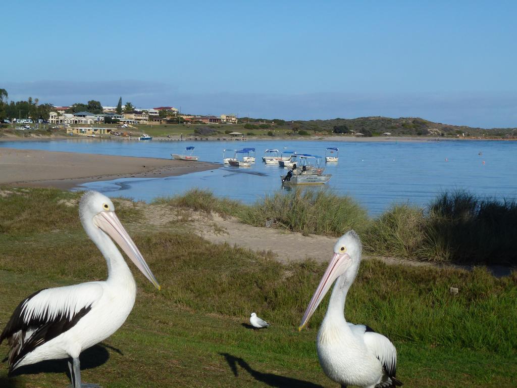 Pelican'S Nest Kalbarri Exterior foto